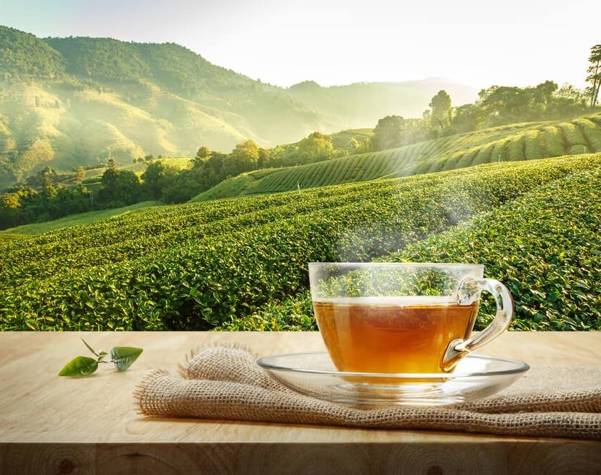 واردات چای به ایران